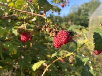 Similar image 22211563