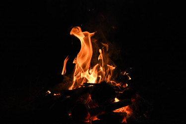 Similar image 22222321