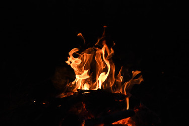 Similar image 22222330