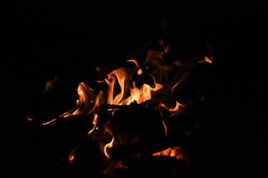 Similar image 22222442