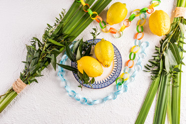 Similar image 22211245