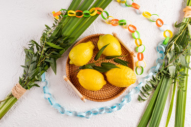 Similar image 22211246