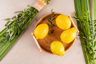 Similar image 22211250