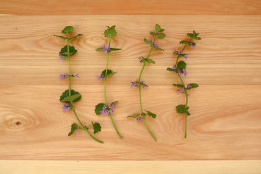 Similar image 22222474