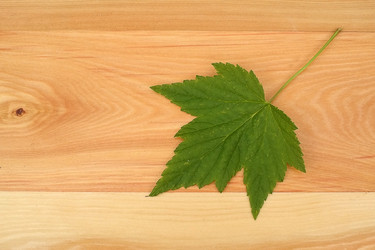 Similar image 22222475