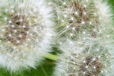 Similar image 22229803