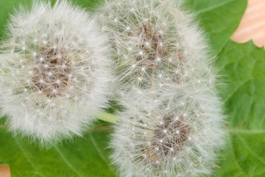 Similar image 22229804