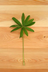 Similar image 22229805