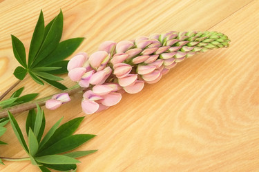 Similar image 22229806