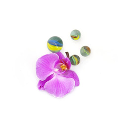 Similar image 22229808