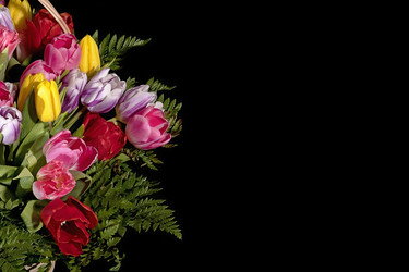 Similar image 22229810