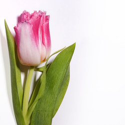 Similar image 22229811