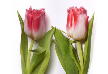 Similar image 22229812