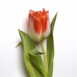 Similar image 22229813