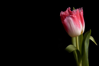 Similar image 22229814