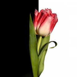 Similar image 22229815