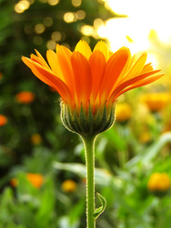 Similar image 22222882