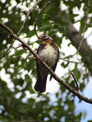 Similar image 22222883