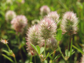 Similar image 22222884