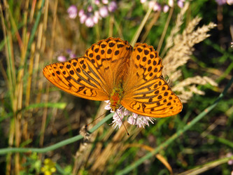 Similar image 22222342