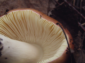 Similar image 22222343