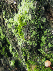 Similar image 22222344