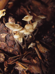 Similar image 22222346