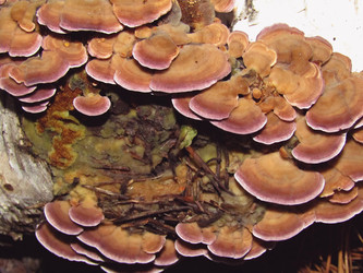 Similar image 22222348