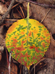 Similar image 22223109