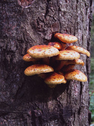 Similar image 22222350