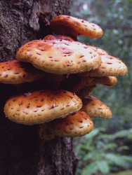 Similar image 22222352