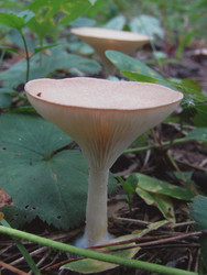 Similar image 22222353