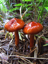 Similar image 22222355