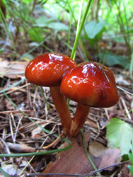 Similar image 22222356