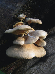 Similar image 22222357