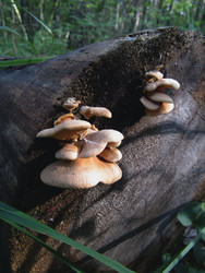 Similar image 22222358