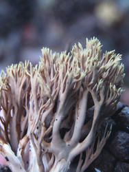 Similar image 22222360