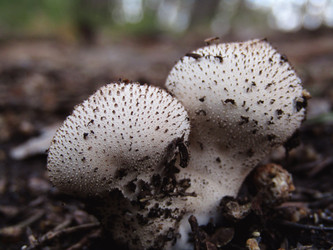 Similar image 22222363