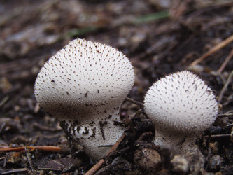 Similar image 22222364