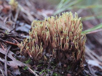 Similar image 22222365