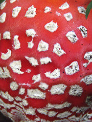 Similar image 22222366