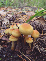 Similar image 22222367