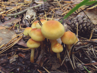 Similar image 22222368