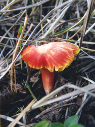 Similar image 22222369