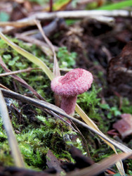 Similar image 22222370