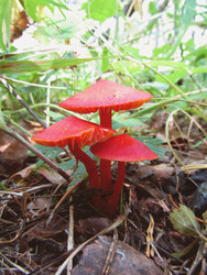 Similar image 22222371