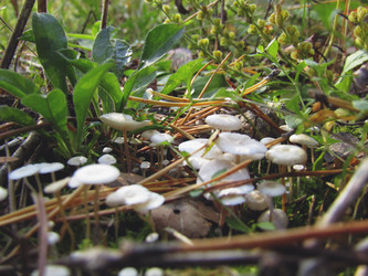 Similar image 22222372