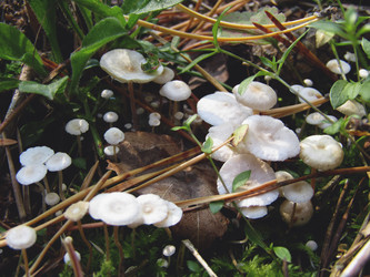 Similar image 22222373