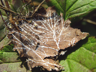 Similar image 22222374