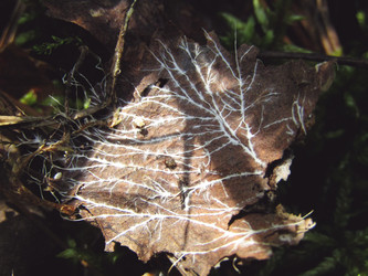 Similar image 22222375